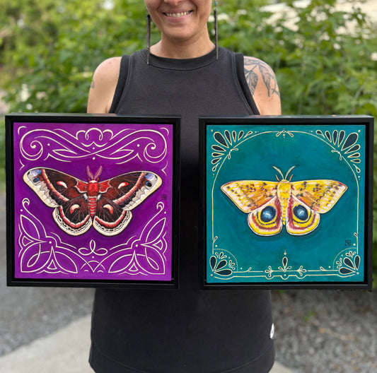 Cecropia Moth - acrylic gouache painting on paper on wood panel