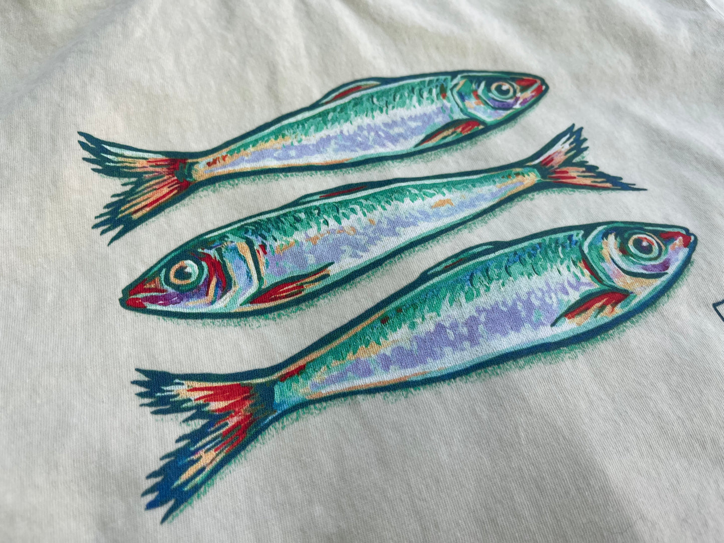 Sardines unisex garment-dyed heavyweight t-shirt