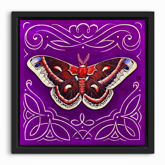 Cecropia Moth - acrylic gouache painting on paper on wood panel