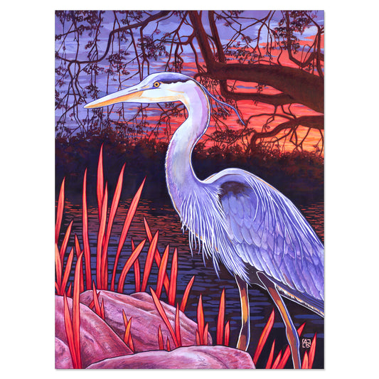 'Water's Edge' great blue heron archival giclée print on cotton paper