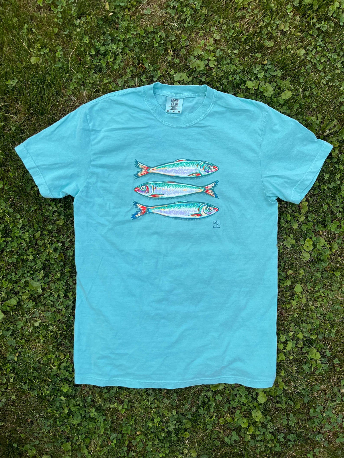 Sardines fish 100% cotton garment-dyed heavyweight t-shirt