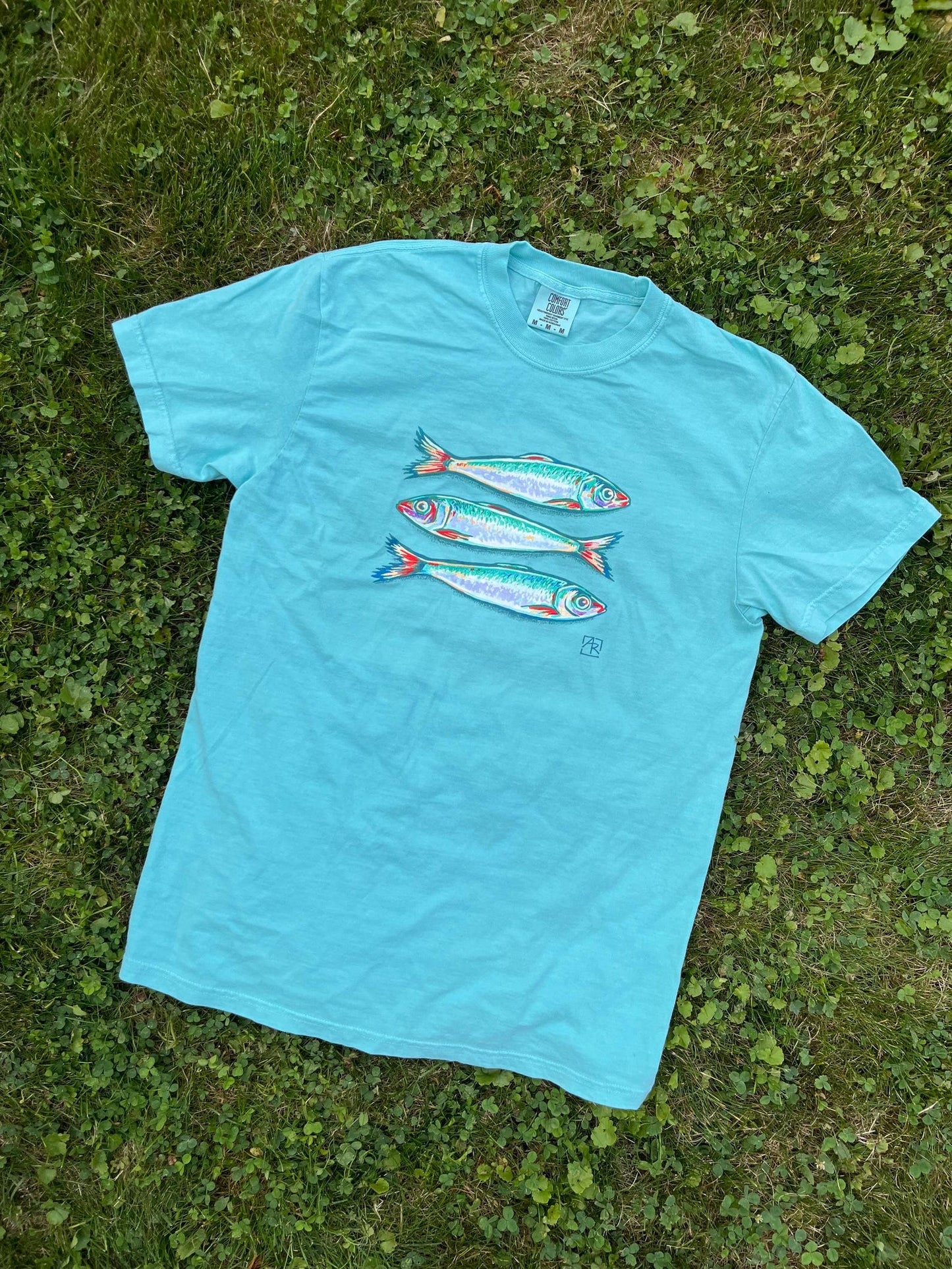 Sardines fish 100% cotton garment-dyed heavyweight t-shirt