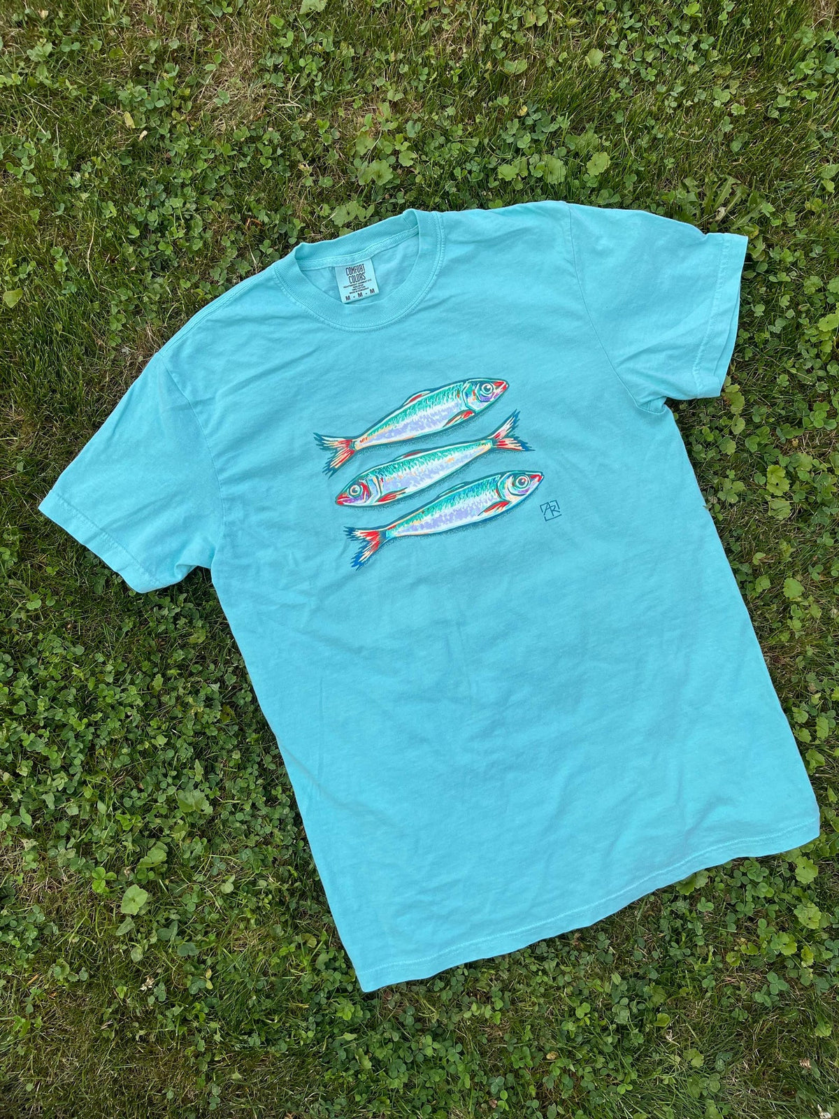 Sardines fish 100% cotton garment-dyed heavyweight t-shirt